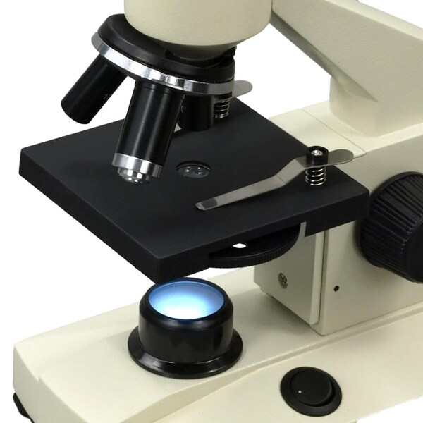 Basic Compound Microscope, Inclined With Illumination